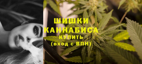 ешки Мегион