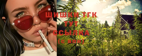 ешки Мегион