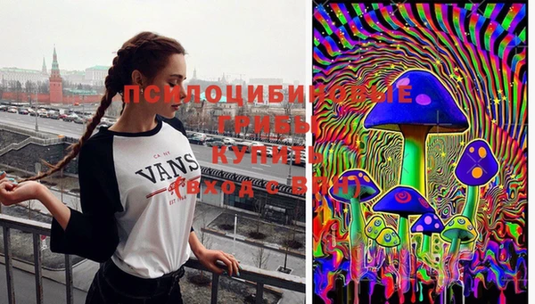 ешки Мегион