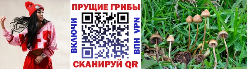 KRAKEN ССЫЛКА  Нытва  Псилоцибиновые грибы мицелий  наркошоп 